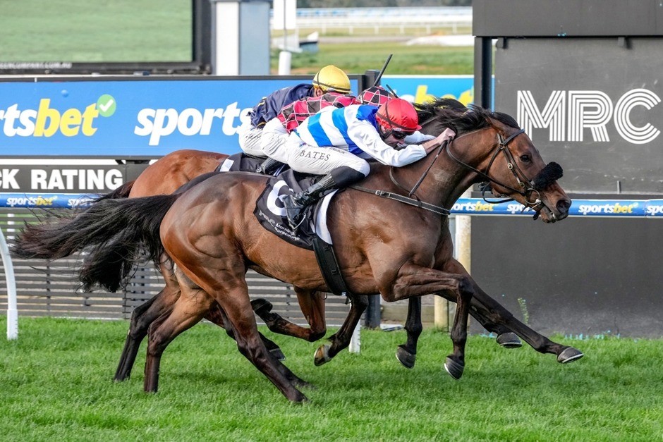 Horses racing at Mornington Racecourse on November 10, 2025