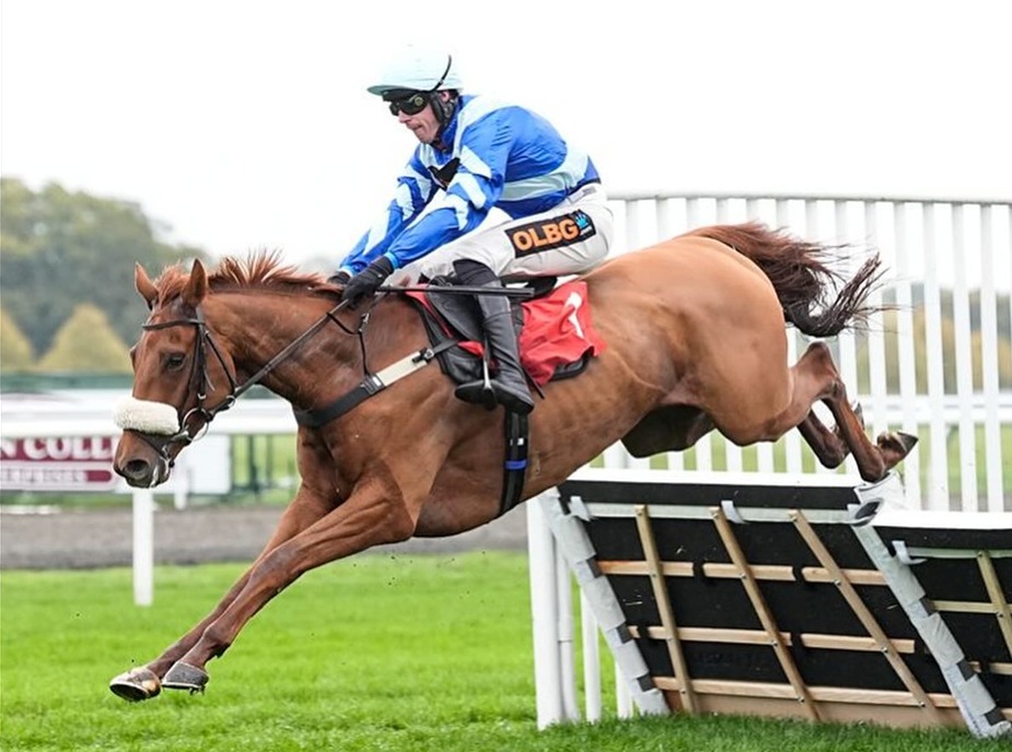 Horses racing at Kempton Park during the Pertemps Network Handicap Hurdle Series Qualifier