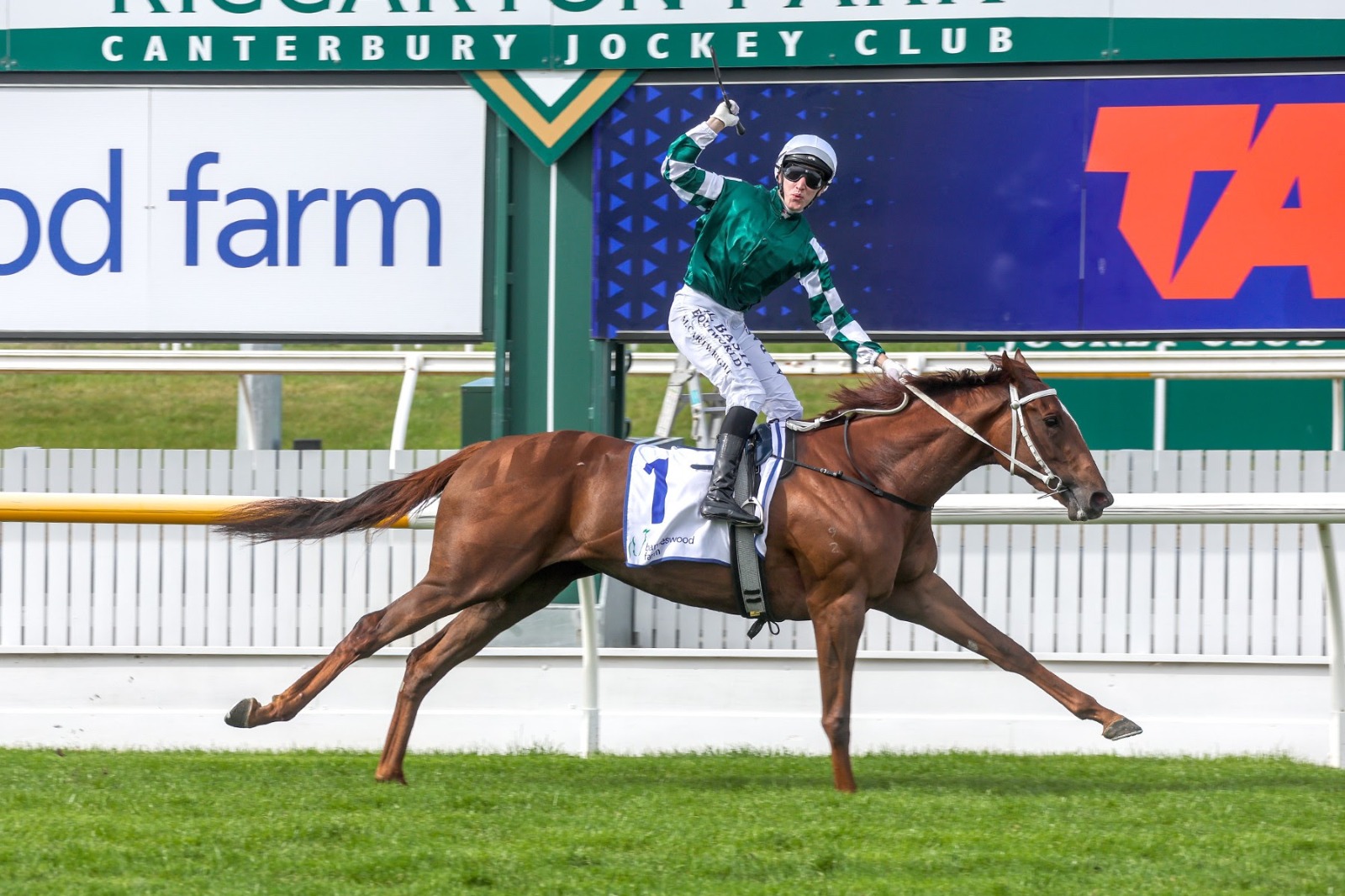 Well Written winning the G1 New Zealand 1000 Guineas at Riccarton Park