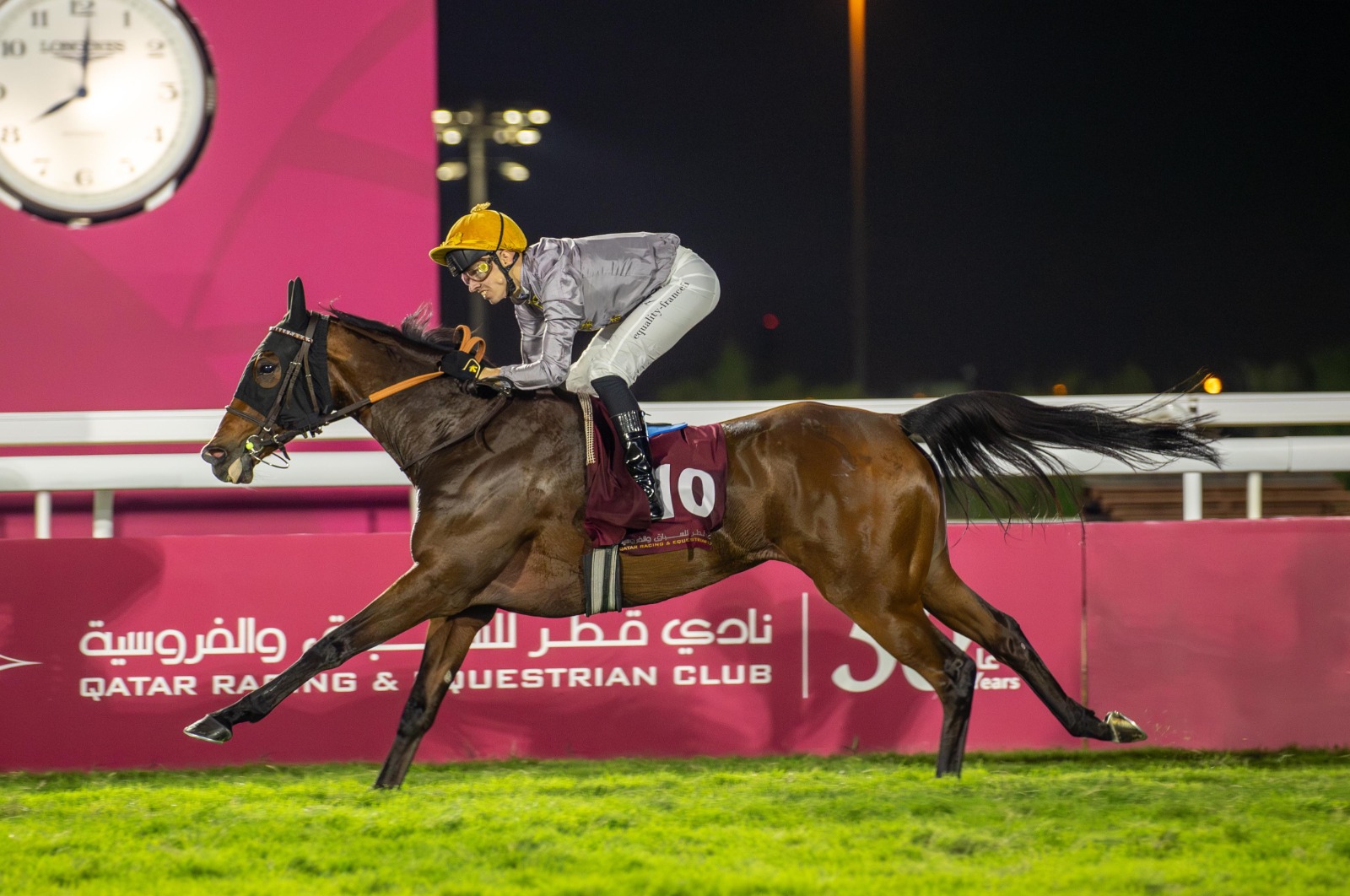 Thoroughbred horses racing at Qatar Racing Club on 13 November 2025