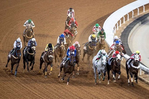 Horses racing under the floodlights at King Abdulaziz Racecourse during Riyadh Race Day 2025