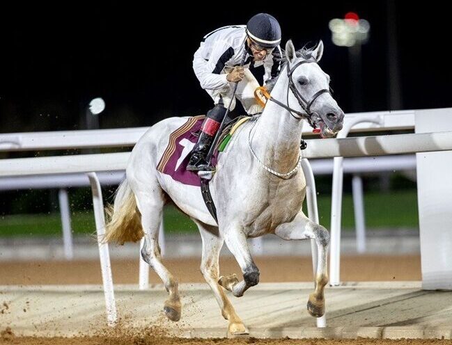 Horses racing at King Abdulaziz Racecourse during the HRH Prince Mohammed bin Saud Al Kabeer Cup in Riyadh