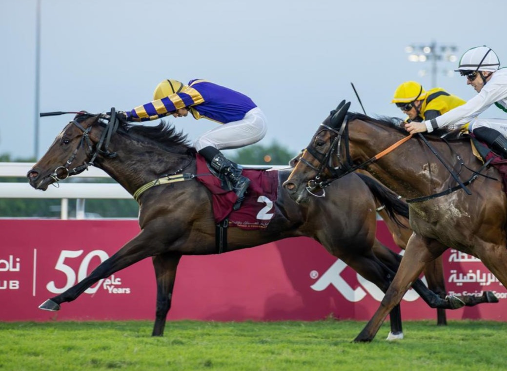 Elite local thoroughbreds racing at QREC during the Al Noof Cup 2025