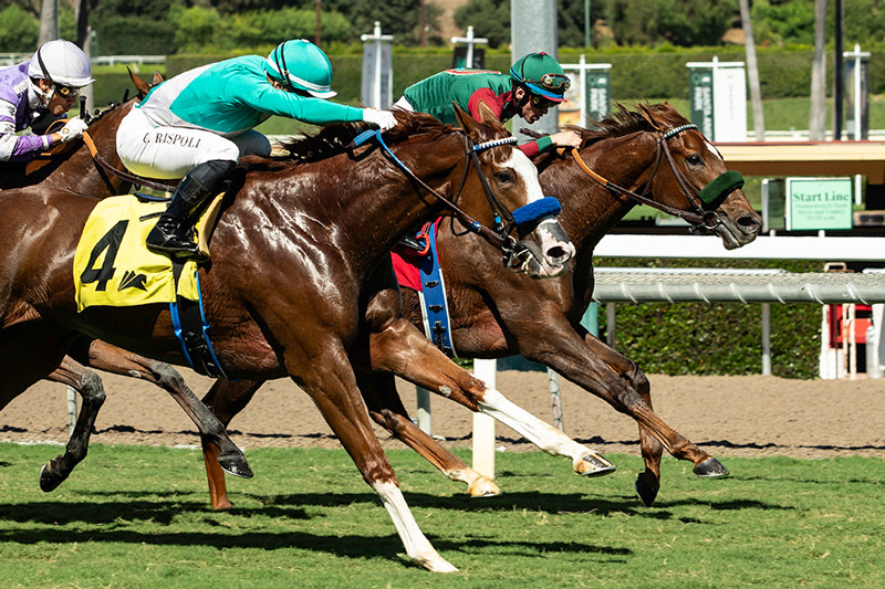 Del Mar, Betty Grable Stakes, Grand Slam Smile, Sneaker, Sean McCarthy, George Papaprodromou, horse racing California, Del Mar fall meet