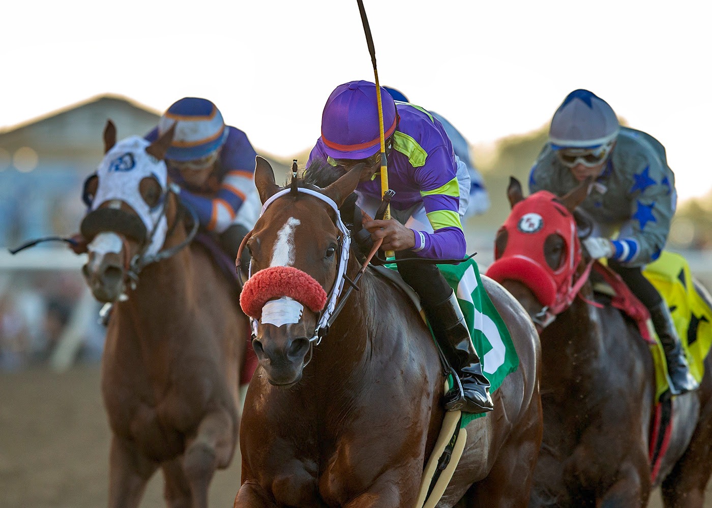 Man O Rose winning The Chosen Vron Stakes at Del Mar 2025