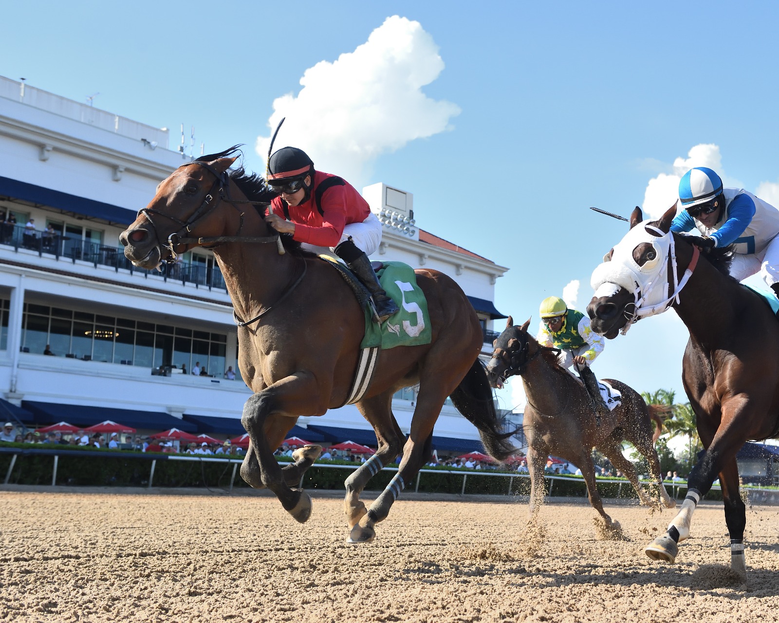 Classic of Course wins the Awesome Banner Handicap at Gulfstream Park