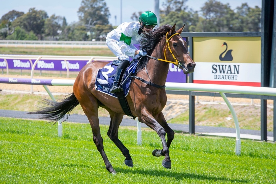 Horses racing down the straight at Bunbury Racecourse during the midweek meeting 2025