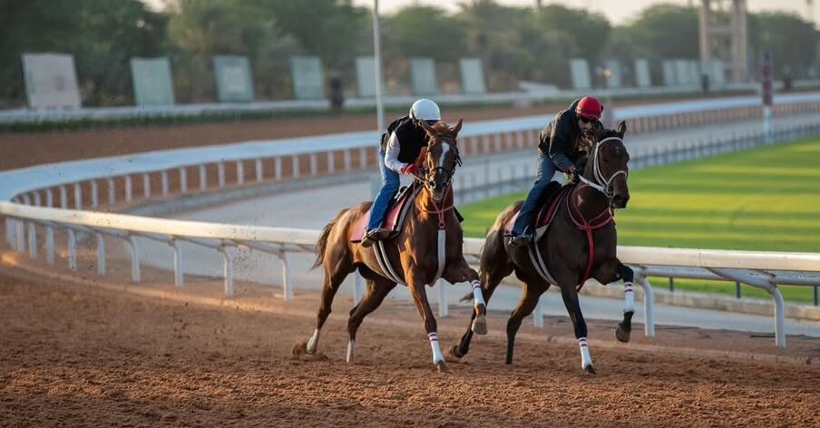 JCSA Cup Night 2025 at King Abdulaziz Racecourse — Horses under the Riyadh lights during the Listed feature race