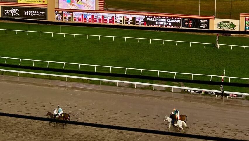 Kia Evening Star race at Canterbury Park under Sydney floodlights with horses racing in action