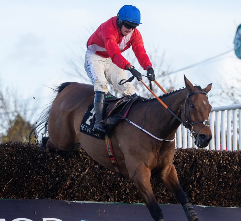 Horses racing under the floodlights at Dundalk Stadium during the November 12, 2025 race meeting