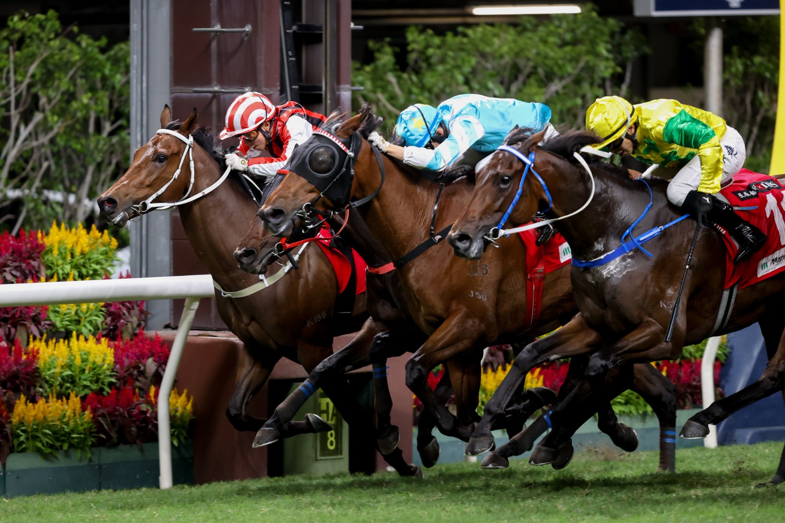 Huge Wave winning the Shing Yip Handicap at Happy Valley under jockey A. Badel for trainer K. H. Ting