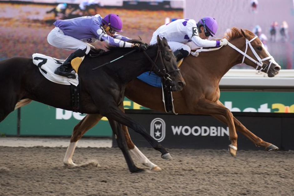 Horses racing on the All Weather Track at Woodbine Racetrack on a chilly November morning in Toronto.