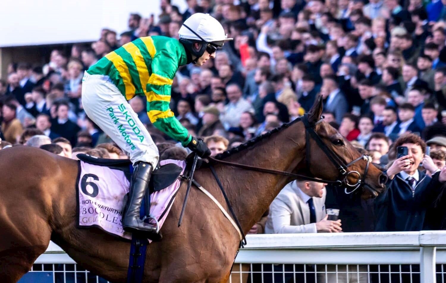Cheltenham Racecourse on a crisp November afternoon with horses parading before the start of the Shloer Steeplechase 2025