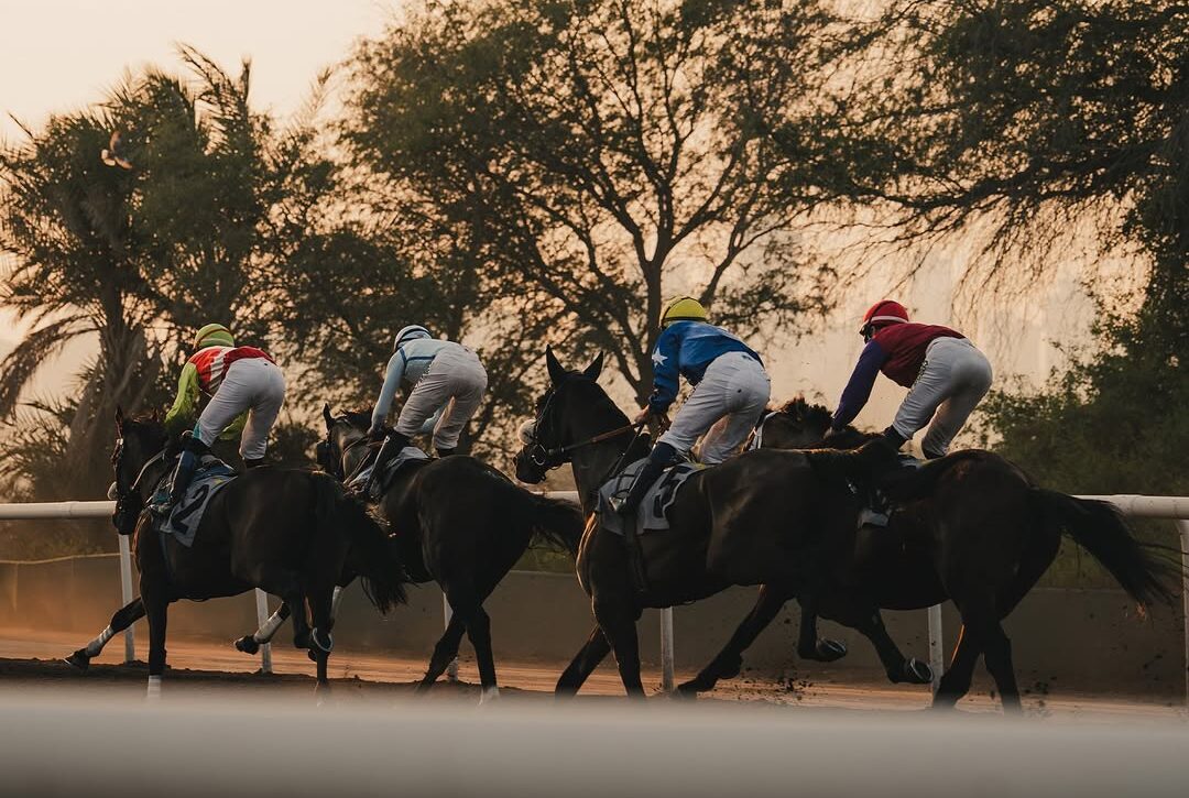 Jebel Ali Racecourse action on 15 November 2025 featuring JARC Sprint Series and Emirates Airline Cup