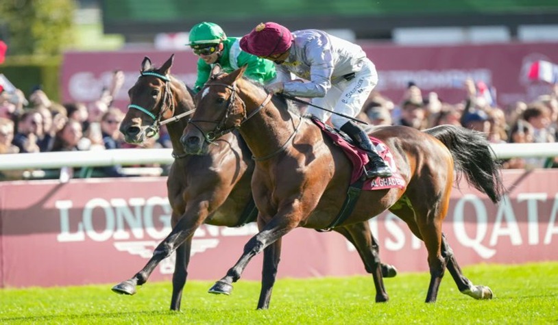 Saint-Cloud Racecourse late-autumn racing scene on 14 November 2025