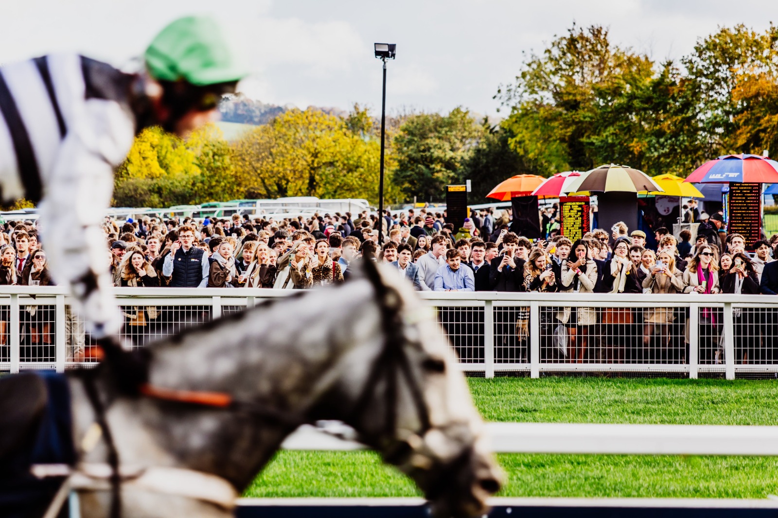 Rachael Blackmore and the Anthony brothers inducted into the Hall of Fame at Cheltenham Racecourse