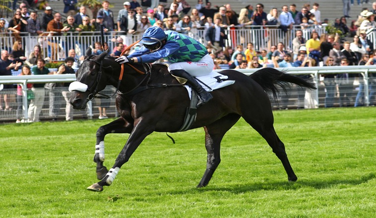 Auteuil Racecourse November 15 2025 meeting preview with nine-race card