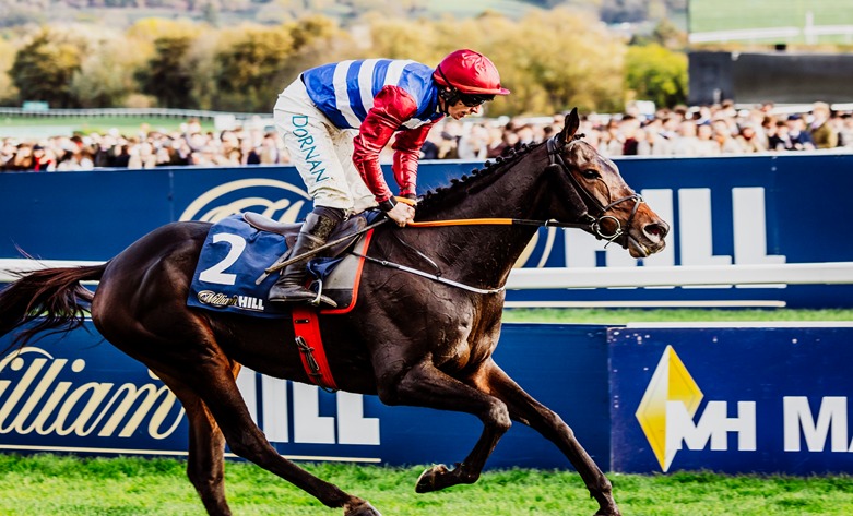 Cheltenham Racecourse 15 November 2025 Race Day Preview