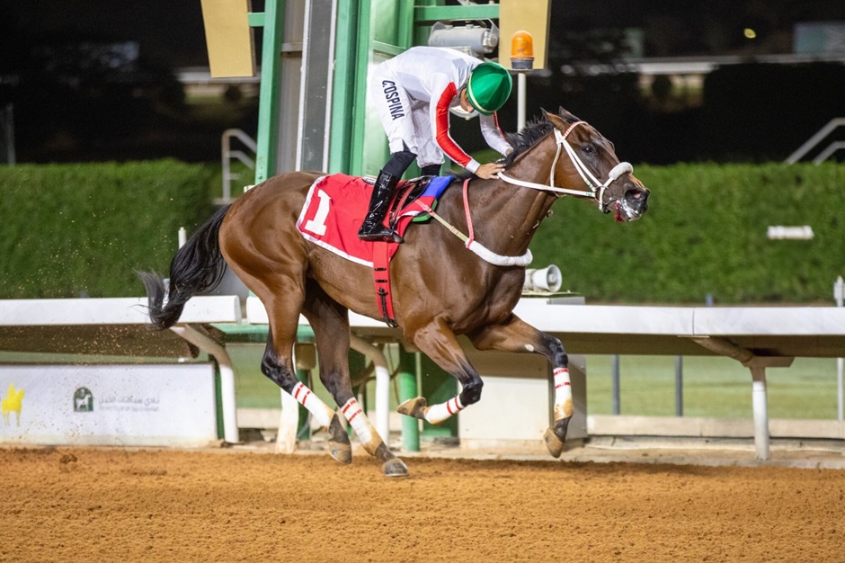 JCSA Cup Race Night 2025 at King Abdulaziz Racecourse under floodlights