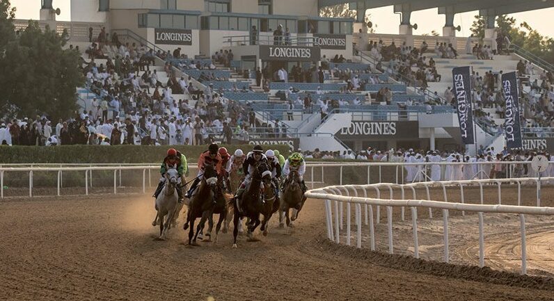 Sharjah Racecourse 2025-2026 season opener Arabian horses racing on track