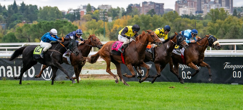 Copa de Criadores race day at Hipódromo de La Zarzuela featuring top Spanish-bred juveniles