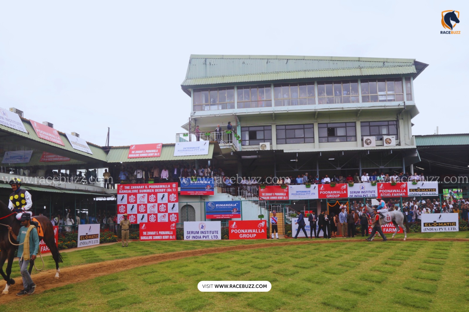 Ricardo winning the Black Caviar Plate at Bangalore Turf Club on 15 November 2025