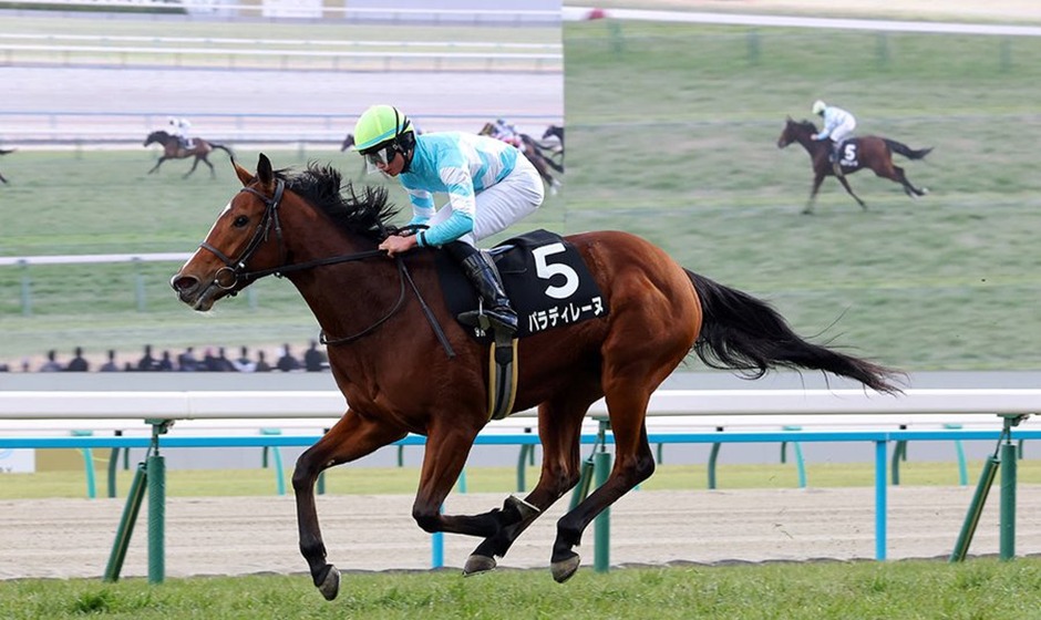 Queen Elizabeth II Cup 2025 at Kyoto Racecourse – race day preview and contenders
