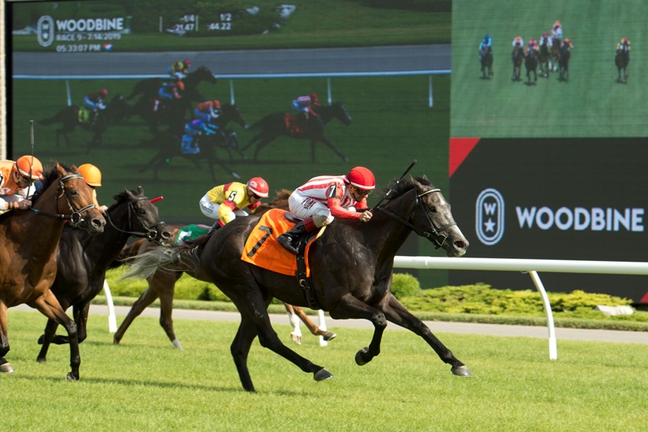 Woodbine Thoroughbred Racetrack 12-race card under lights on November 16, 2025