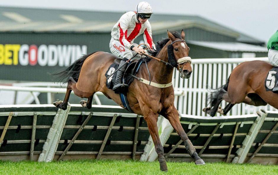 Charlotte Savill Memorial Raceday at Plumpton Racecourse – Feature Races and Fundraising Event