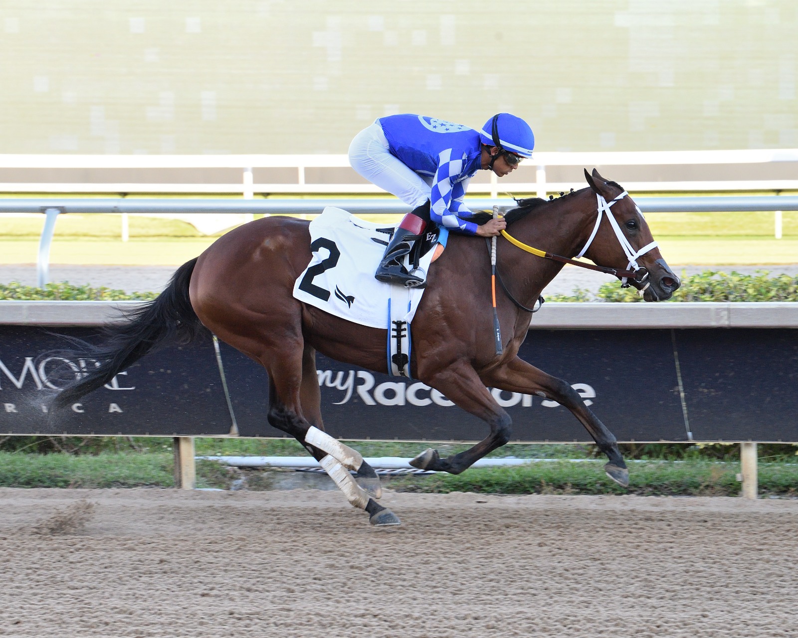 Tessellate winning the Juvenile Fillies Sprint at Gulfstream Park