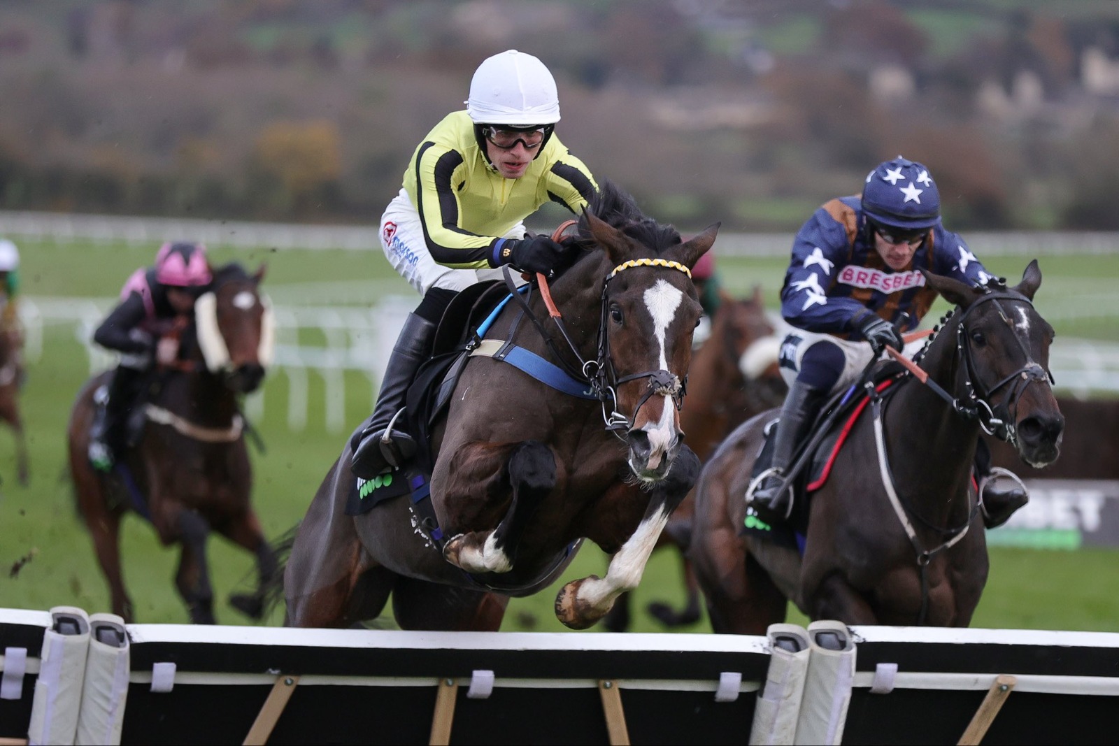 Alexei winning the Greatwood Handicap Hurdle at Cheltenham