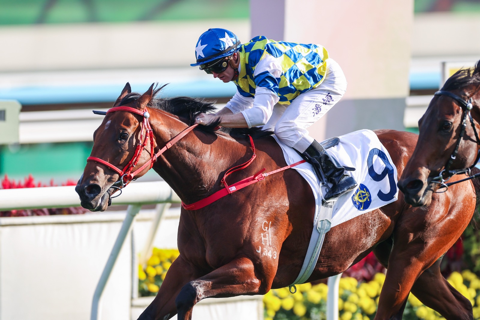 Patch Of Stars wins the Lukfook Jewellery Cup at Sha Tin
