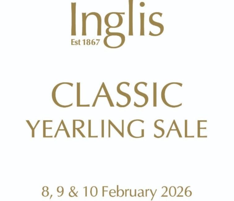 2026 Classic Yearling Sale catalogue released