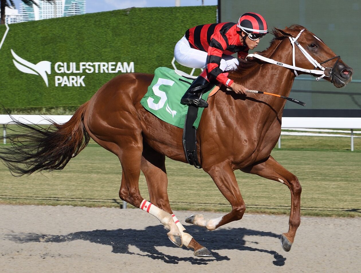 Rezasrolex surges clear under Edgard Zayas during his seventh straight win at Gulfstream Park.