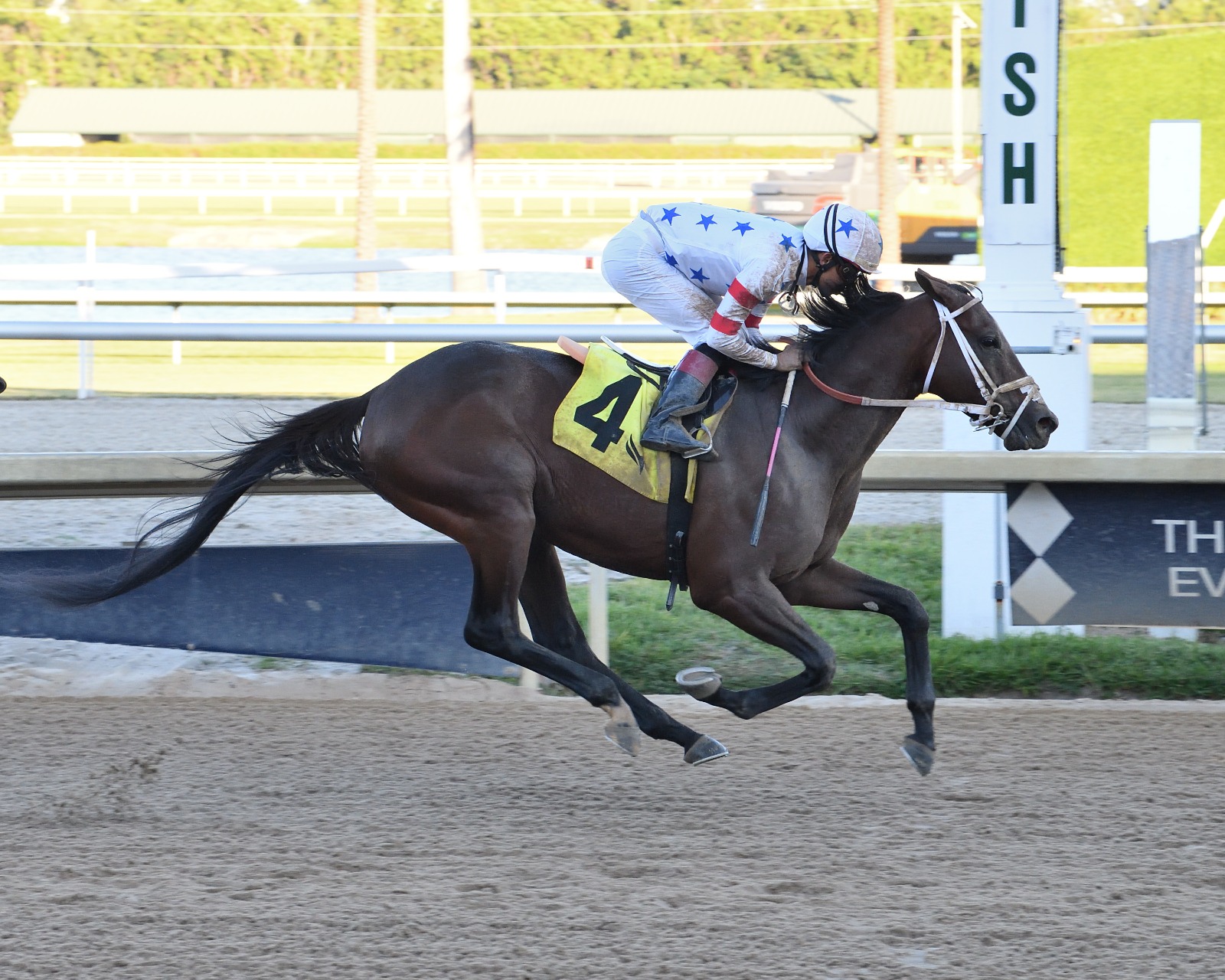 Steal Sunshine winning the Finallymadeit Handicap at Gulfstream Park