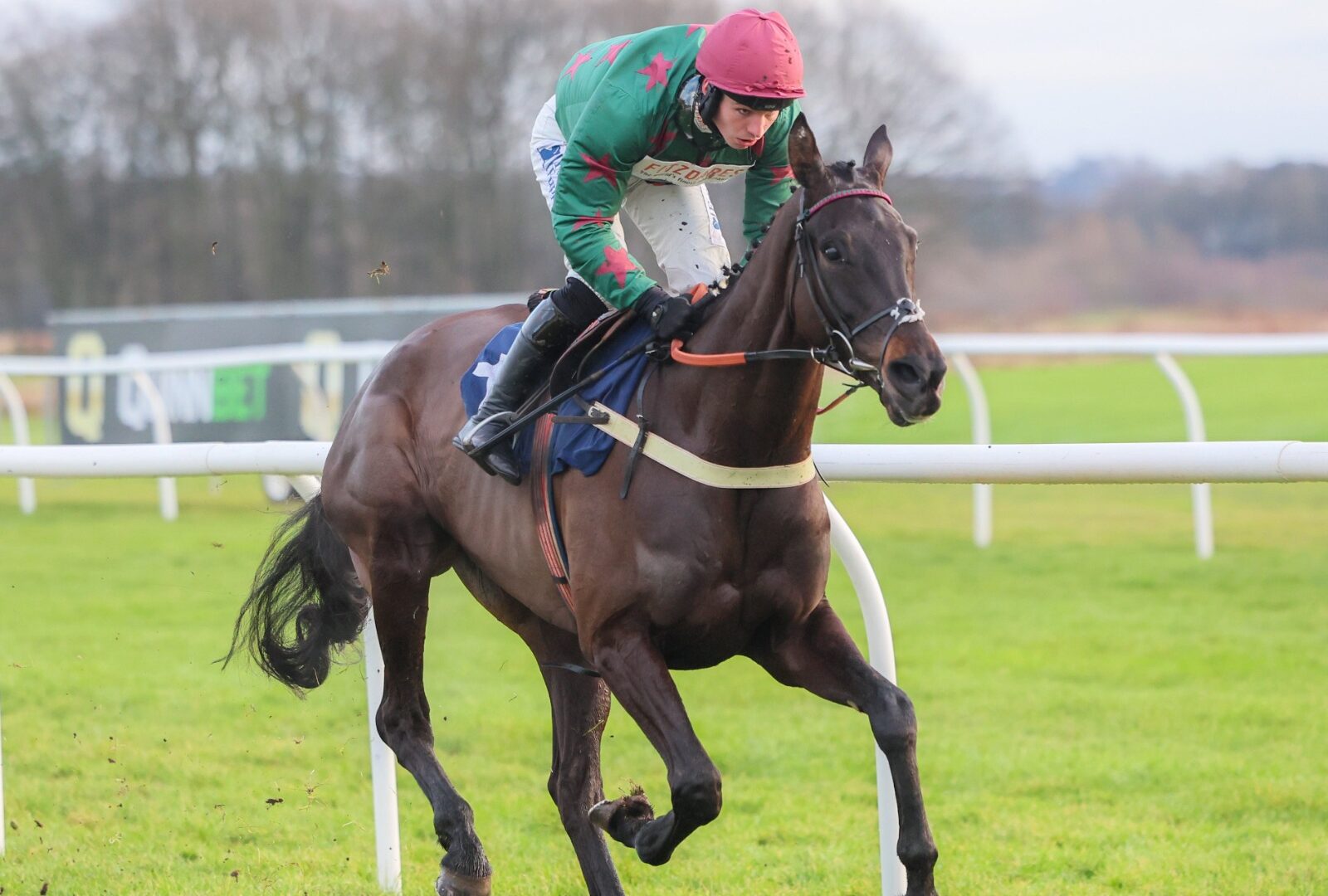 Handstands preparing for the Chase at Haydock Park