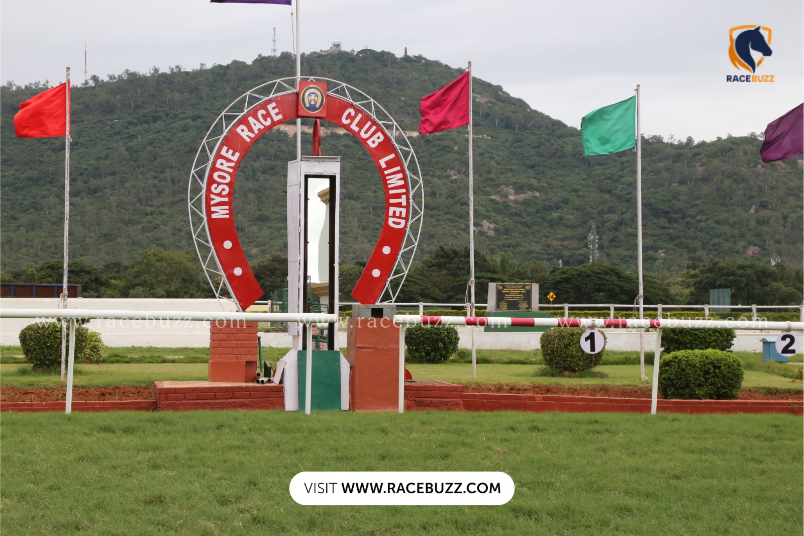 Mysore Race Club preview for 19 November 2025 featuring seven competitive races