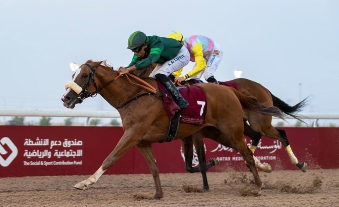 Qetaifan Cup 2025 feature race at Al Uqda – Purebred Arabian sprint under evening lights