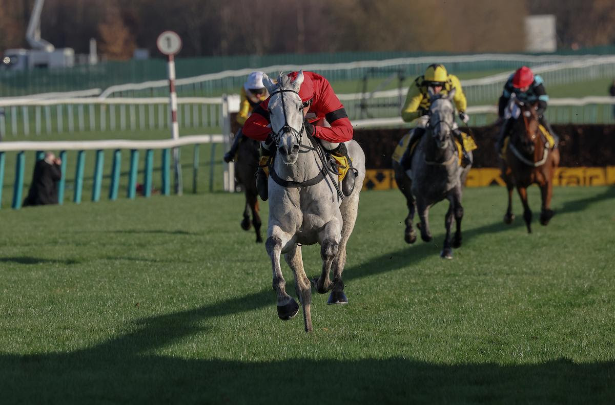 Grey Dawning schooling at home ahead of the Haydock Grade One Chase