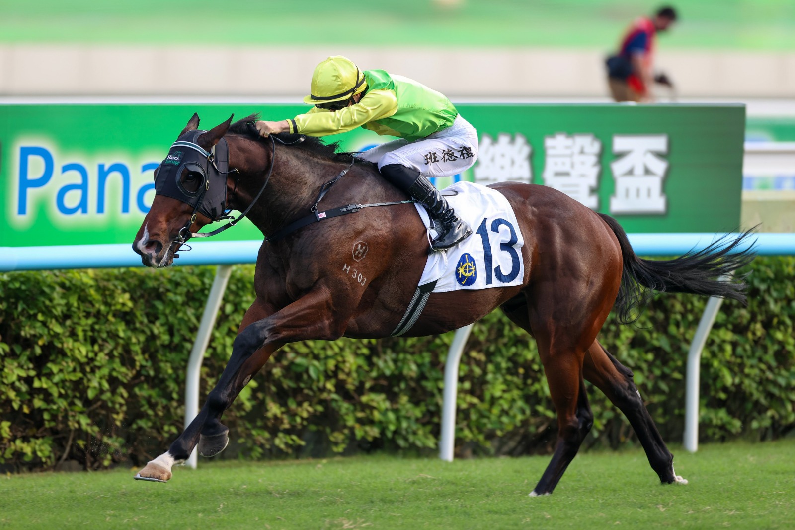 Tomodachi Kokoroe preparing for the BOCHK Private Banking Jockey Club Sprint at Sha Tin Tomodachi Kokoroe preparing for the BOCHK Private Banking Jockey Club Sprint at Sha Tin