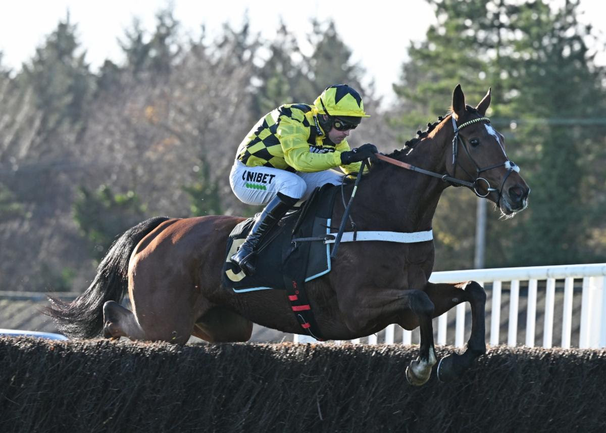 Lulamba winning at Exeter on chasing debut under Nico de Boinville