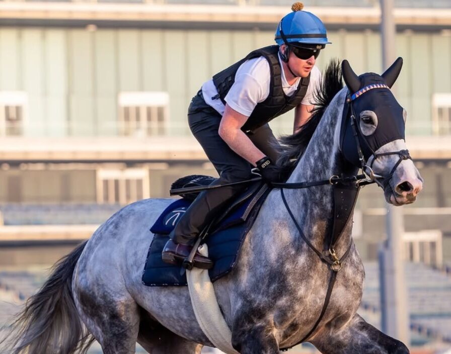 Dubai Creek Mile 2025 at Meydan Racecourse under lights