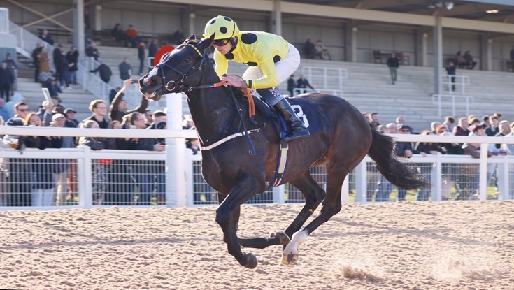 Southwell Racecourse evening meeting under floodlights on 20 November