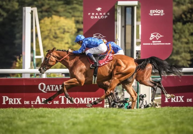 Saint-Cloud Race Day November 20 – Full eight-race preview