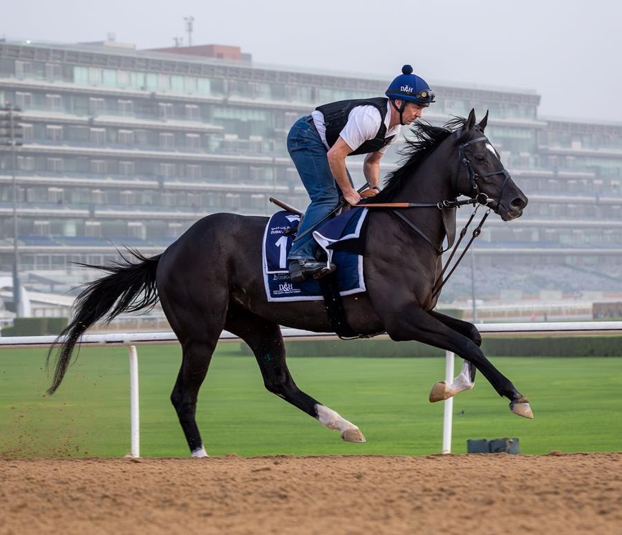 Heart of Honor returns to Meydan ahead of Dubai Racing Carnival