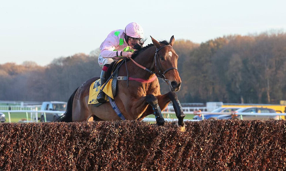Royale Pagaille and jockey Charlie Deutsch preparing for the Haydock Chase, aiming for a historic third consecutive victory.