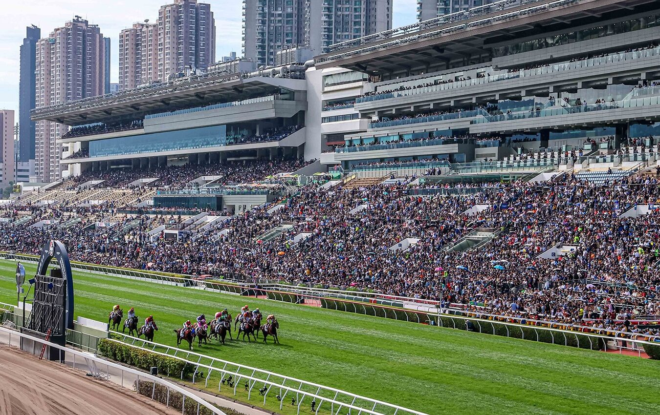 Romantic Warrior and Voyage Bubble preparing for the BOCHK Jockey Club Cup 2025 at Sha Tin Racecourse