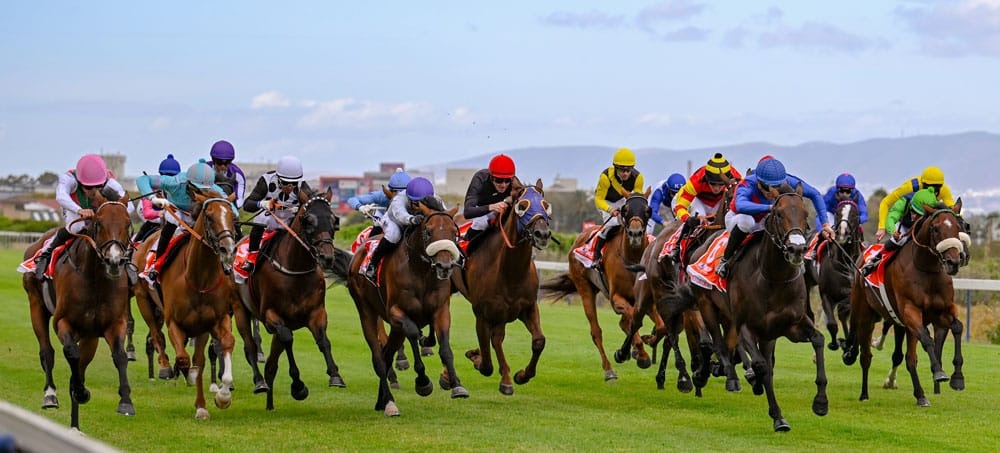Top South African racehorses competing at Kenilworth Racecourse for Breeders’ Cup qualifying spots