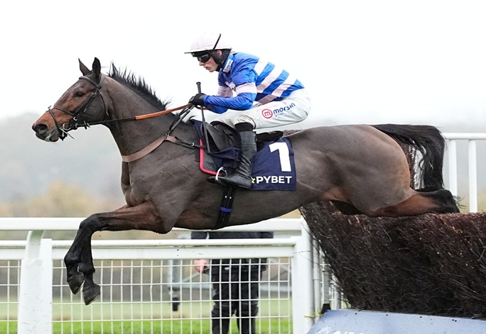 Ascot Racecourse National Hunt Card