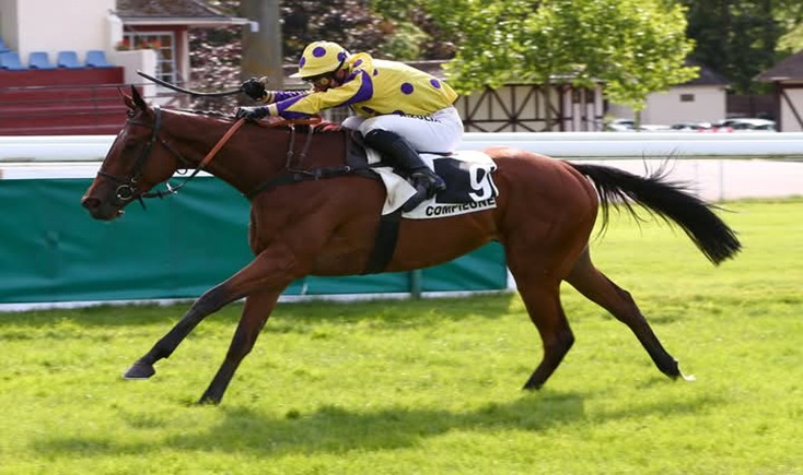 Lyon-Parilly Race Preview – Eight-Race National Hunt Card and Key Contenders